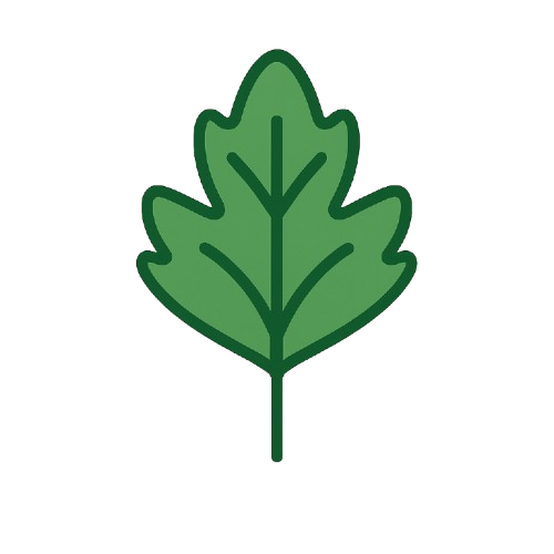 Mivonne Plantas Raras