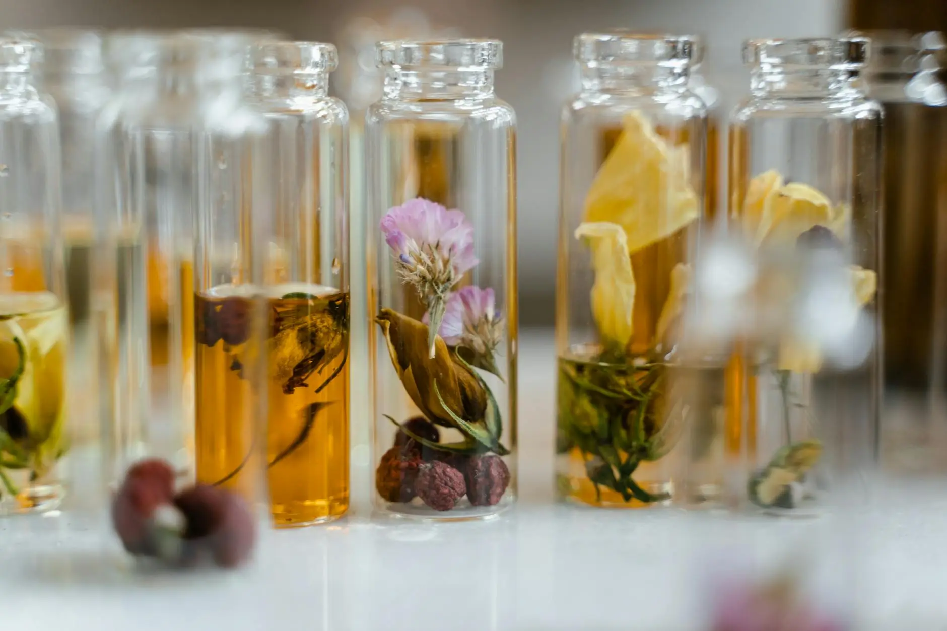 O Poder da Natureza: Ingredientes que Transformam