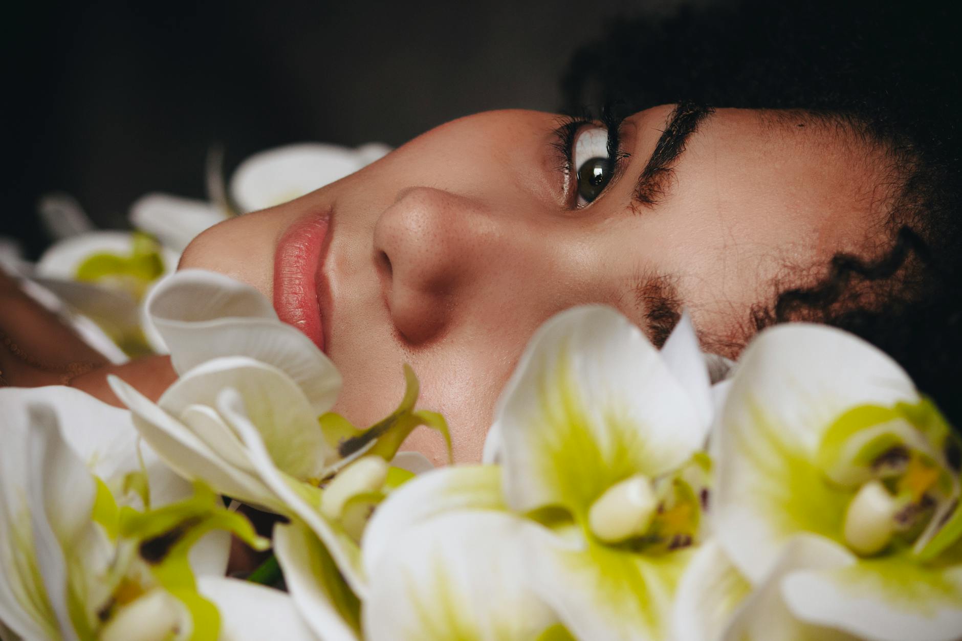A Nova Alquimia: Como a Biomimética Botânica Redefine o Luxo de Alta Performance