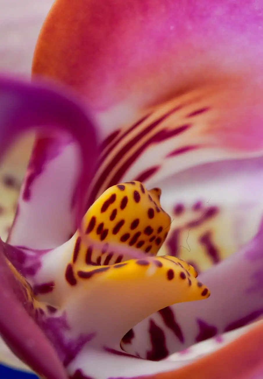A Inteligência Adaptativa das Plantas