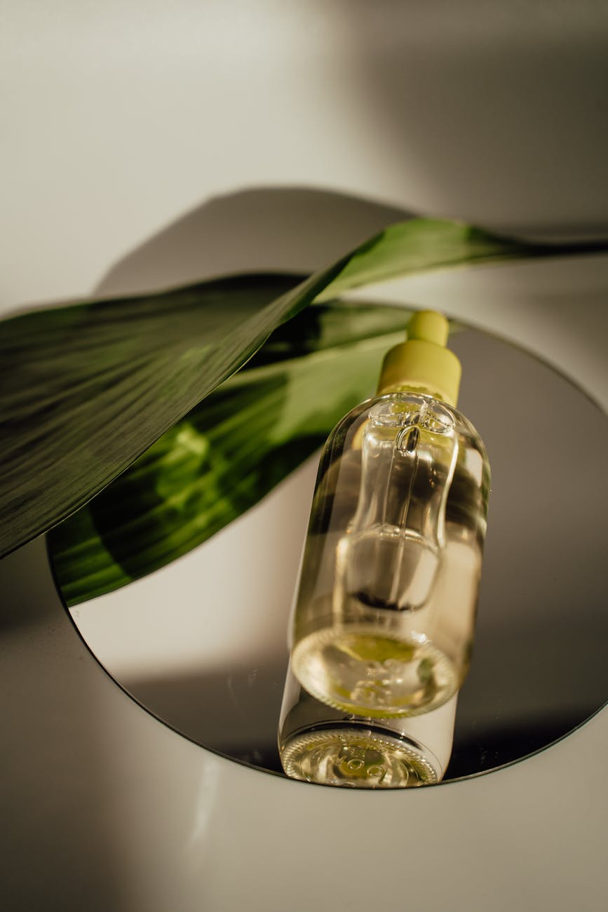Bio-Luxo Regenerativo: A Era da Ciência Botânica de Alta Performance