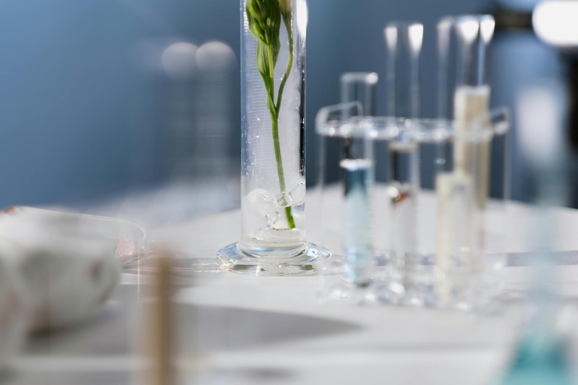 A Nova Era da Imortalidade Estética: A Ascensão da Bioconvergência de Luxo