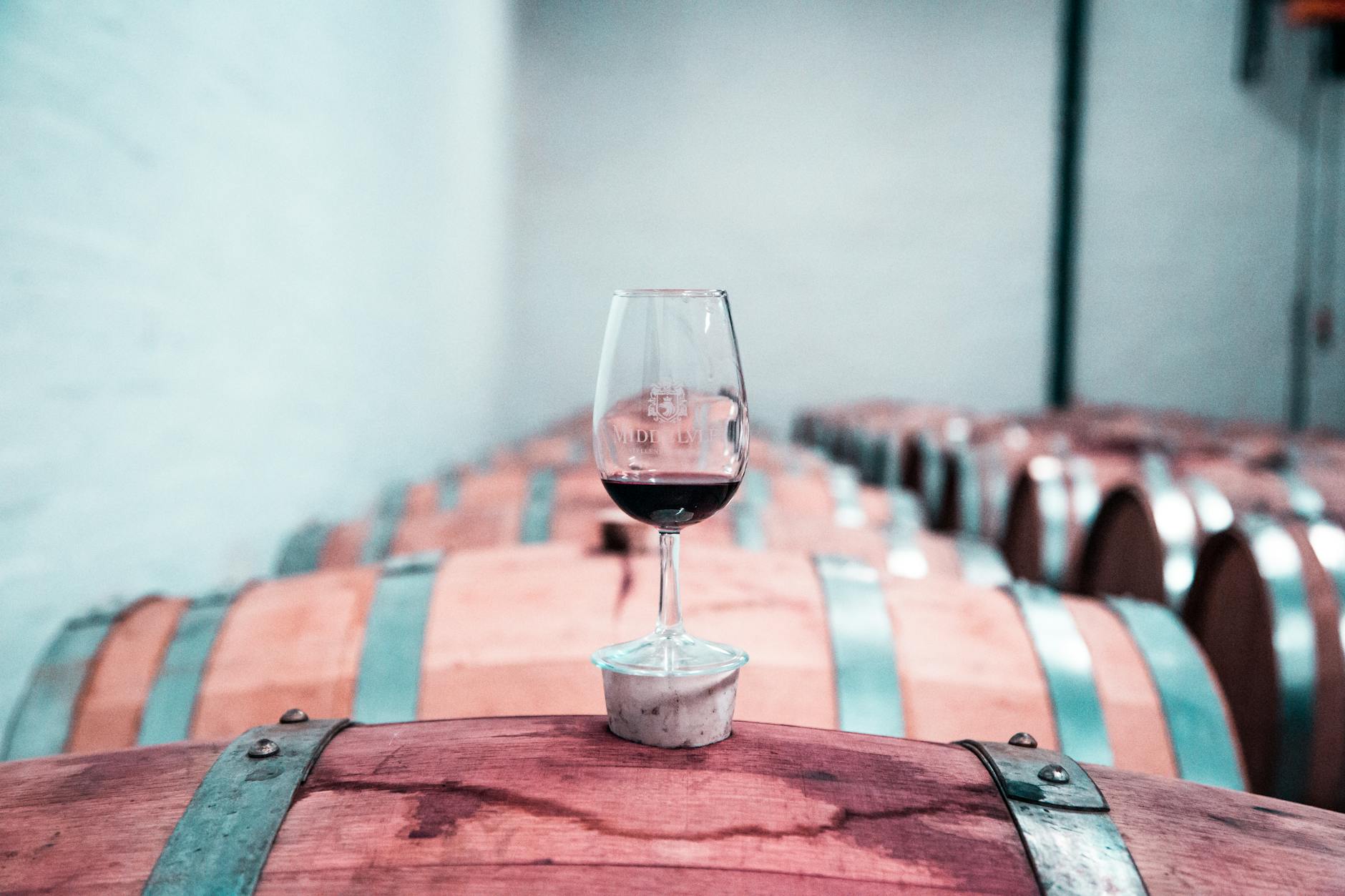 Guia Definitivo de Vinhos: Aprenda a Degustar, Harmonizar e Escolher o Rótulo Perfeito