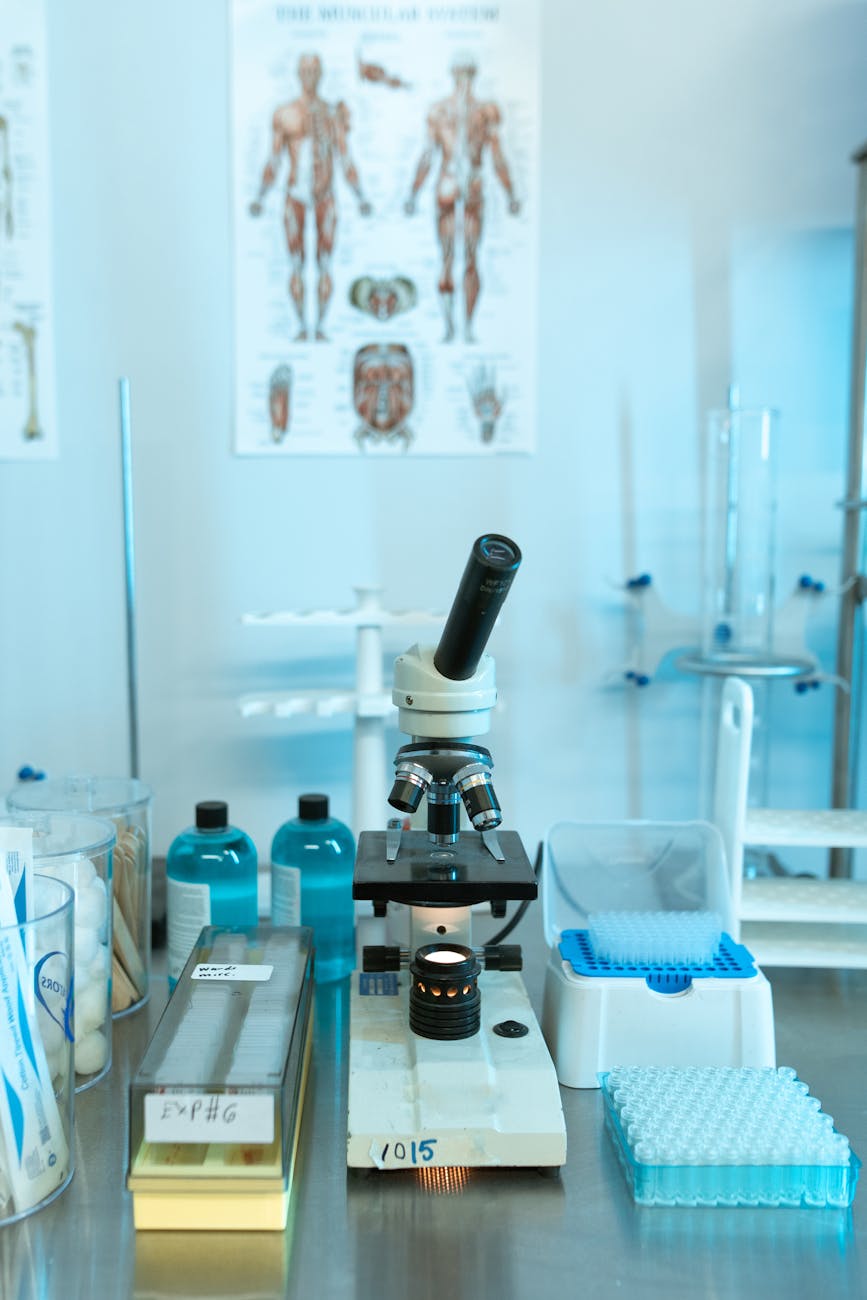 Cuidados Capilares Avançados: Guia de Saúde e Tricologia