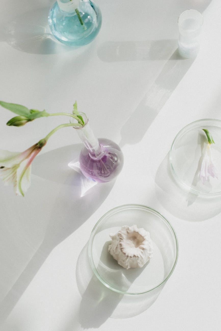 Nutricosméticos: A Ciência da Beleza de Dentro para Fora