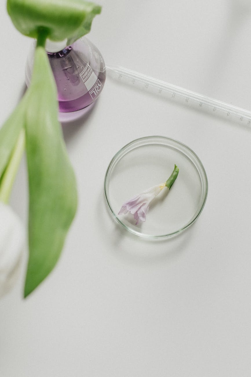 Skincare Avançado: Biotecnologia e Botânica de Luxo