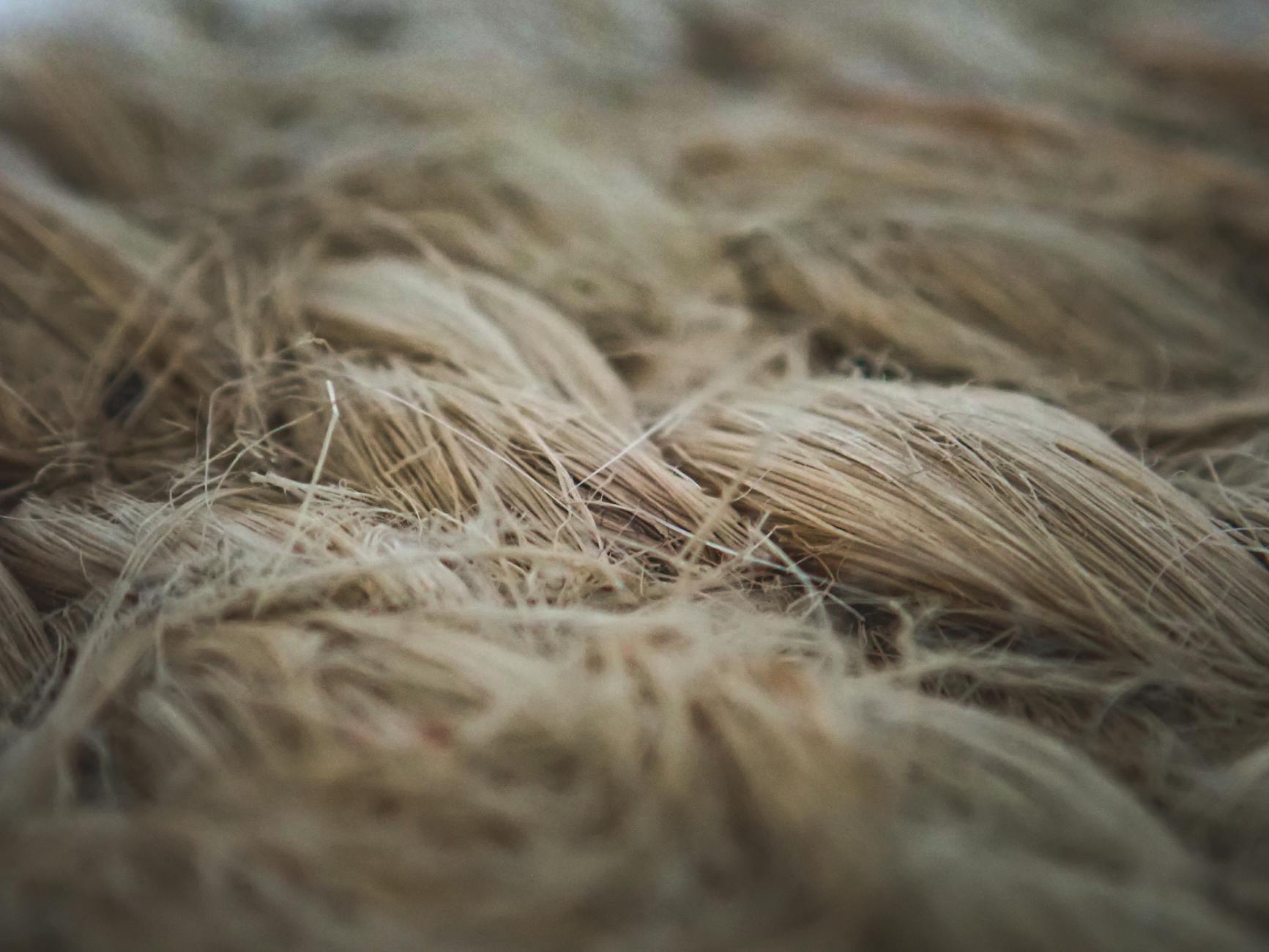 Moda Consciente: A Biociência do Estilo e Consumo Inteligente