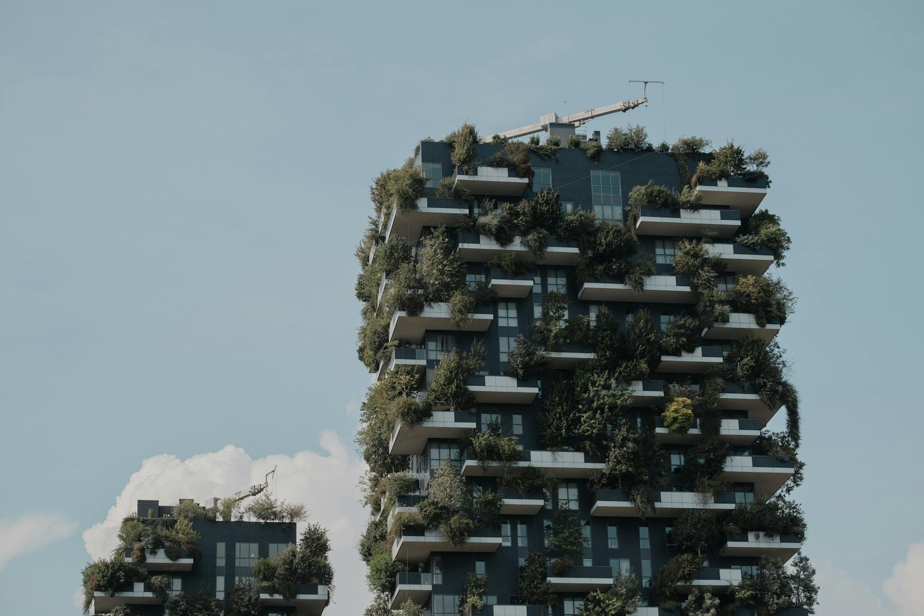 Bioadaptabilidade: Ciência, Pele e Resiliência Urbana