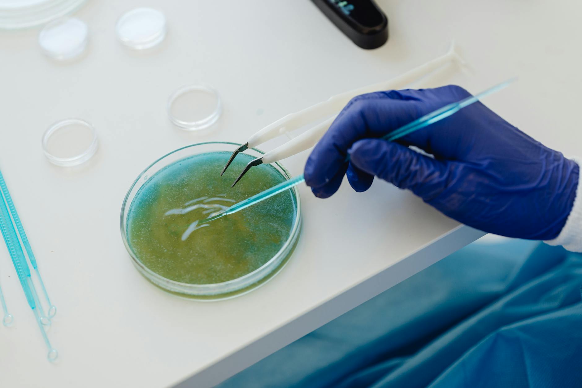 Nutrição Estética: A Biotecnologia da Longevidade da Pele
