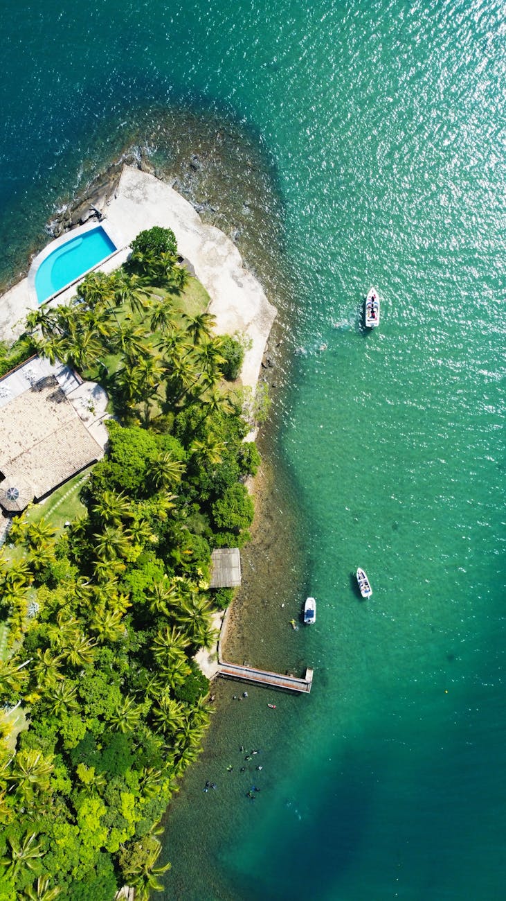 Elite Lifestyle: Guia do Mercado de Luxo no Brasil