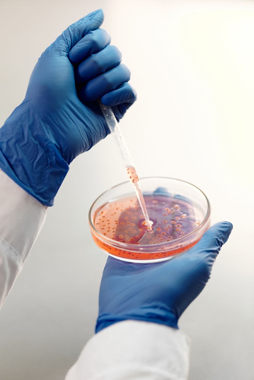 Verisol: A Ciência do Colágeno e Resultados Reais