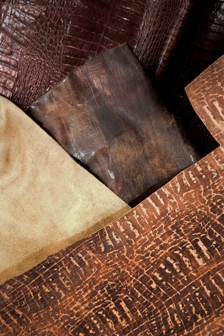 Moda Consciente: A Biociência do Estilo e Curadoria