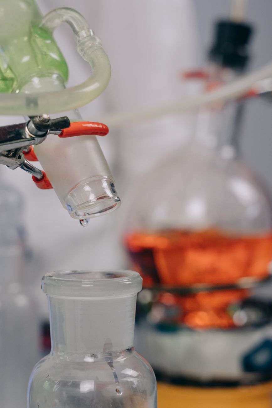Colágeno Verisol: A Ciência da Regeneração Dérmica